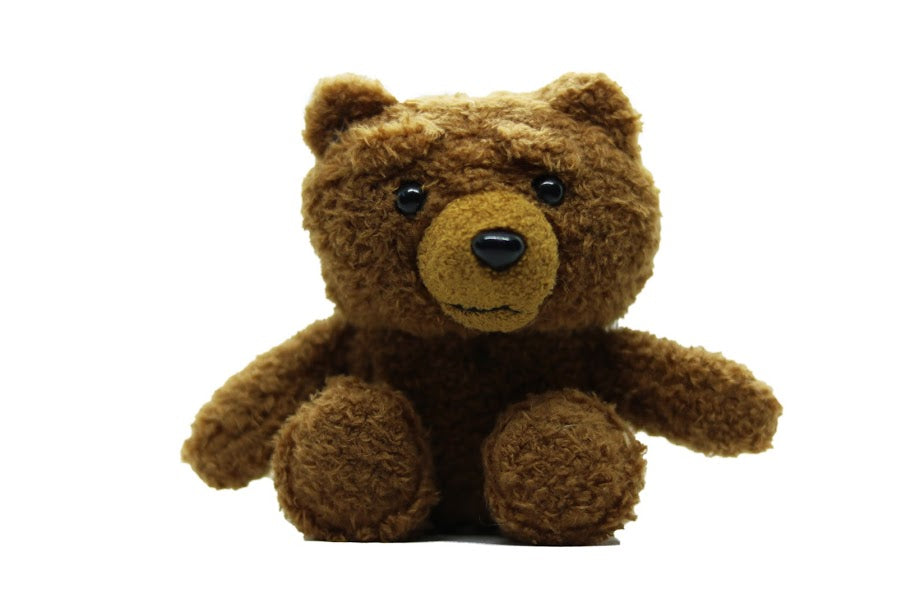 Ted Bear AirPods Case